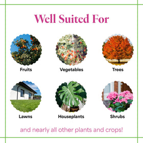 Grow More All-Season Plant Food dissolves in water for quick nutrient delivery.
