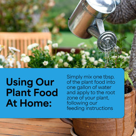 Grow More All-Season Plant Food being used as foliar spray on leaves.