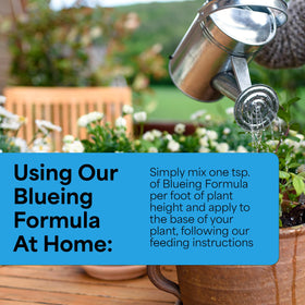 Grow More Aluminum Sulfate aids color change in hydrangeas and azaleas.