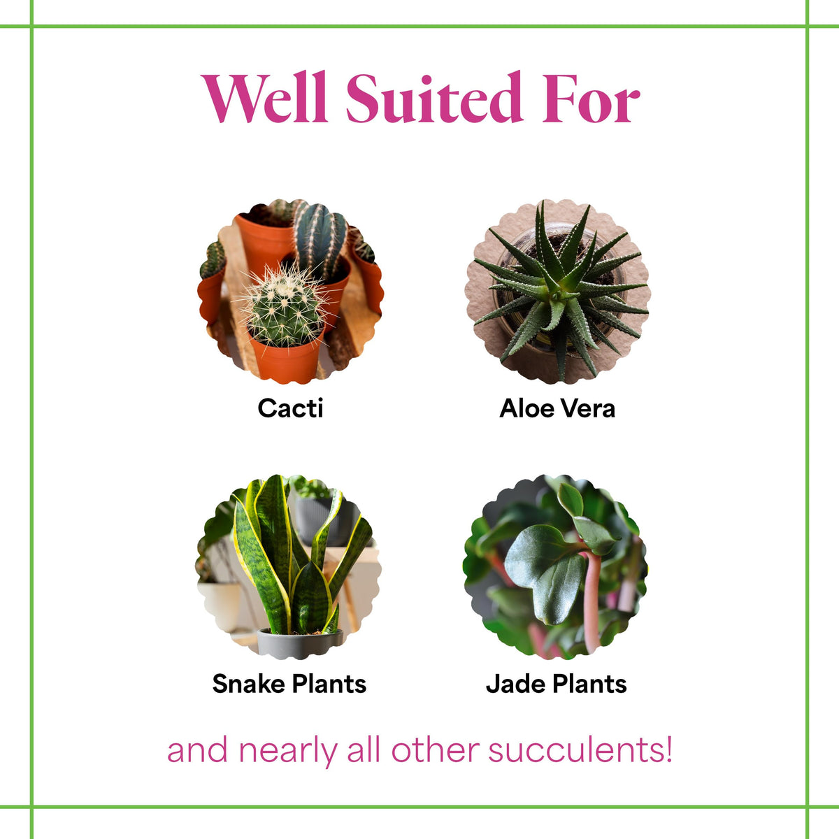 Grow More Cactus Juice label highlights calcium-rich nutrients for sturdy growth