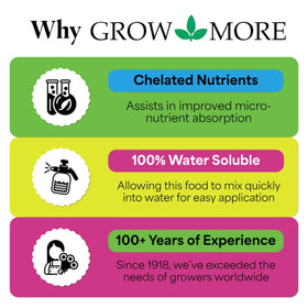 Grow More Cactus Juice lush leaves after feeding