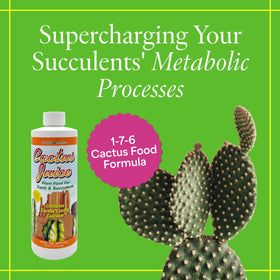 Grow More Cactus Juice pour demonstrates easy application for vibrant root development