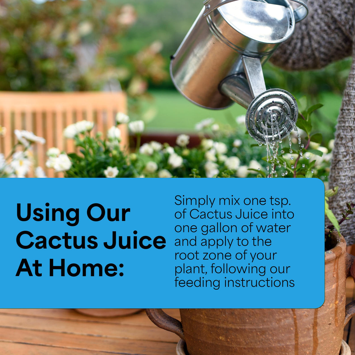 Grow More Cactus Juice root development support shown in soil