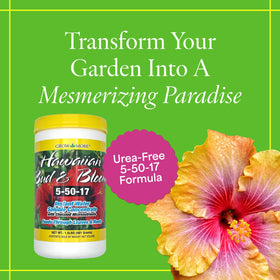 Grow More Hawaiian Bud & Bloom fertilizer dissolving in water for easy mixing.