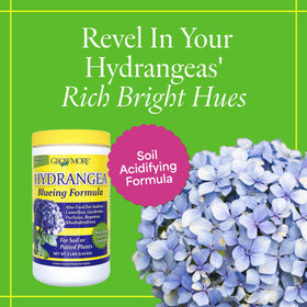 Grow More Hydrangea Blueing Formula for potted plants supports soil acidity and blooms.