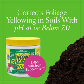 Grow More iron chelate dilution being mixed with water for safe feeding.