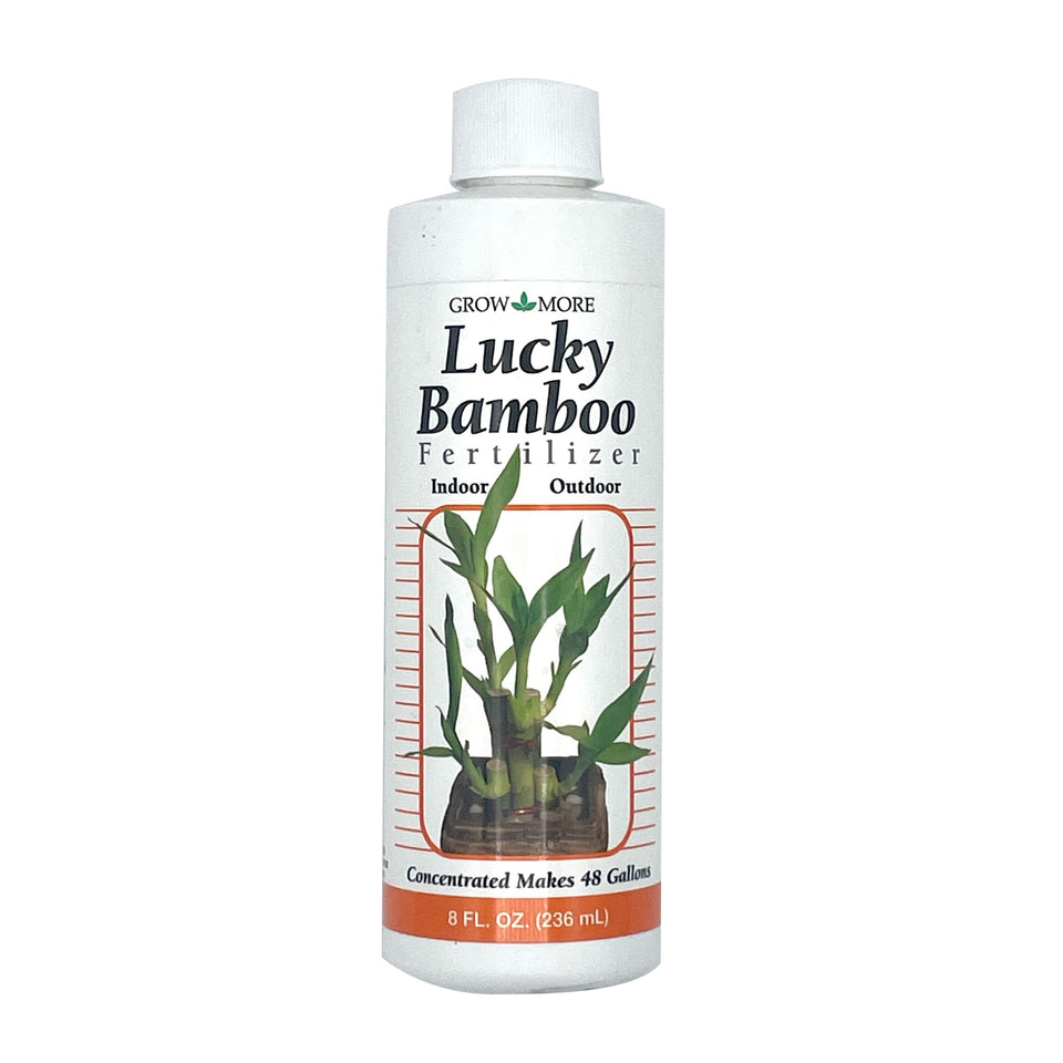 Grow More Lucky Bamboo fertilizer bottle supports indoor plant growth.