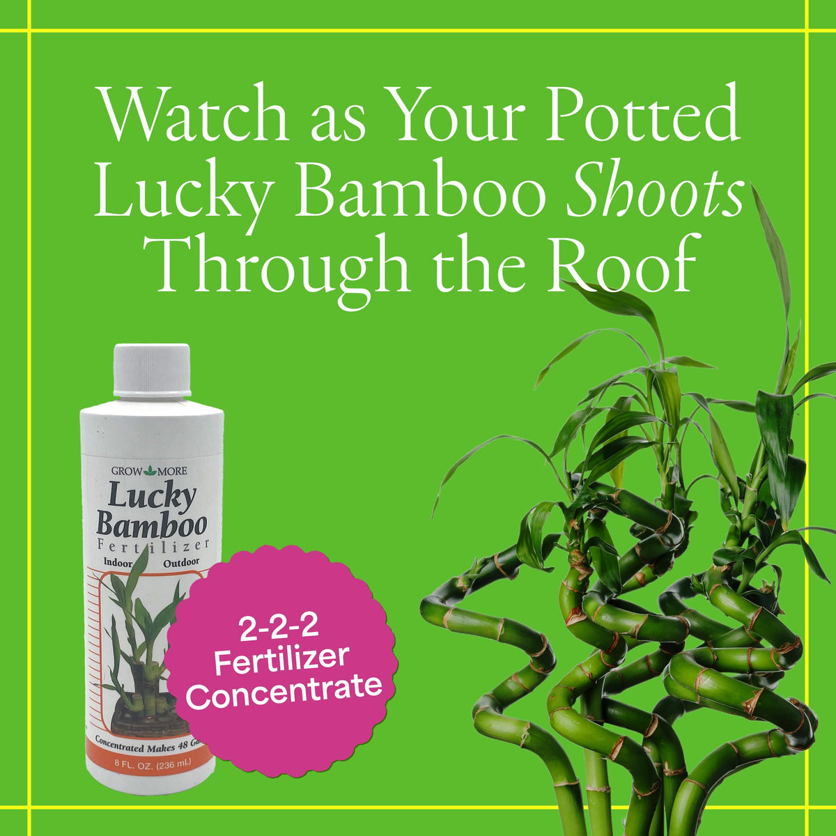 Grow More Lucky Bamboo fertilizer pour enables easy weekly feeding.