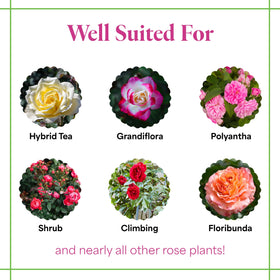 Grow More Magnum Rose Fertilizer dissolving in water enables quick distribution.
