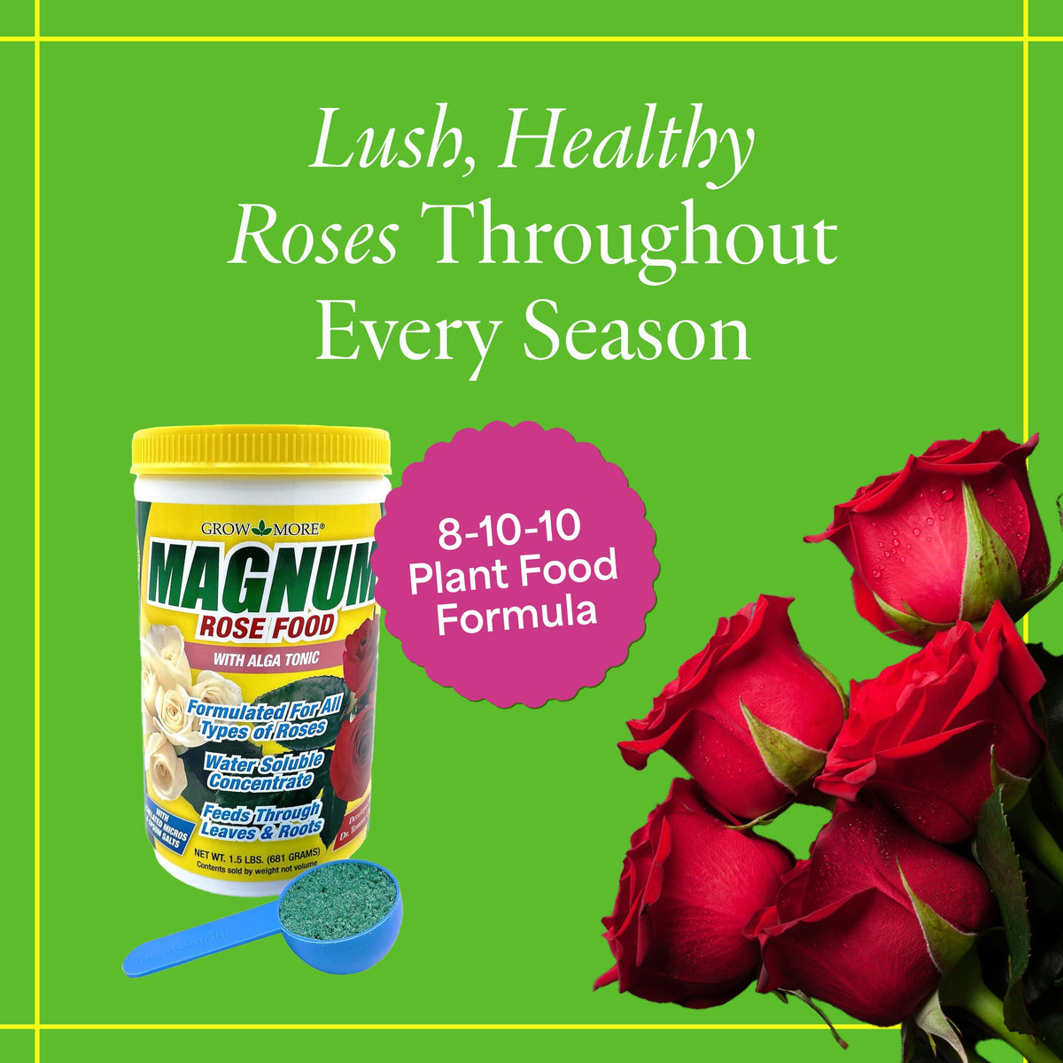 Grow More Magnum Rose Fertilizer packaging shows USA-made, ready-to-use rose nutrition.