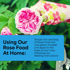 Grow More Magnum Rose Fertilizer promotes rose blooms with richer petals.