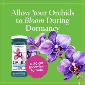 Grow More Premium Bloom Formula dissolving in water enables easy feeding and healthy roots.