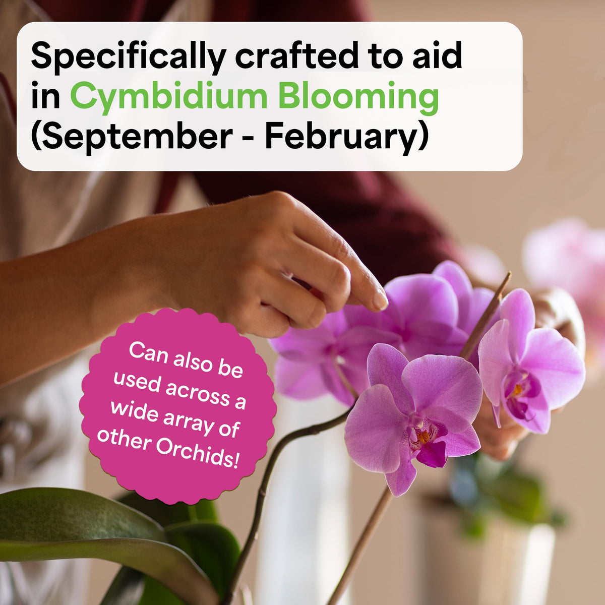 Grow More Premium Bloom Formula orchid blooms display lush flowers nourished by nutrients.