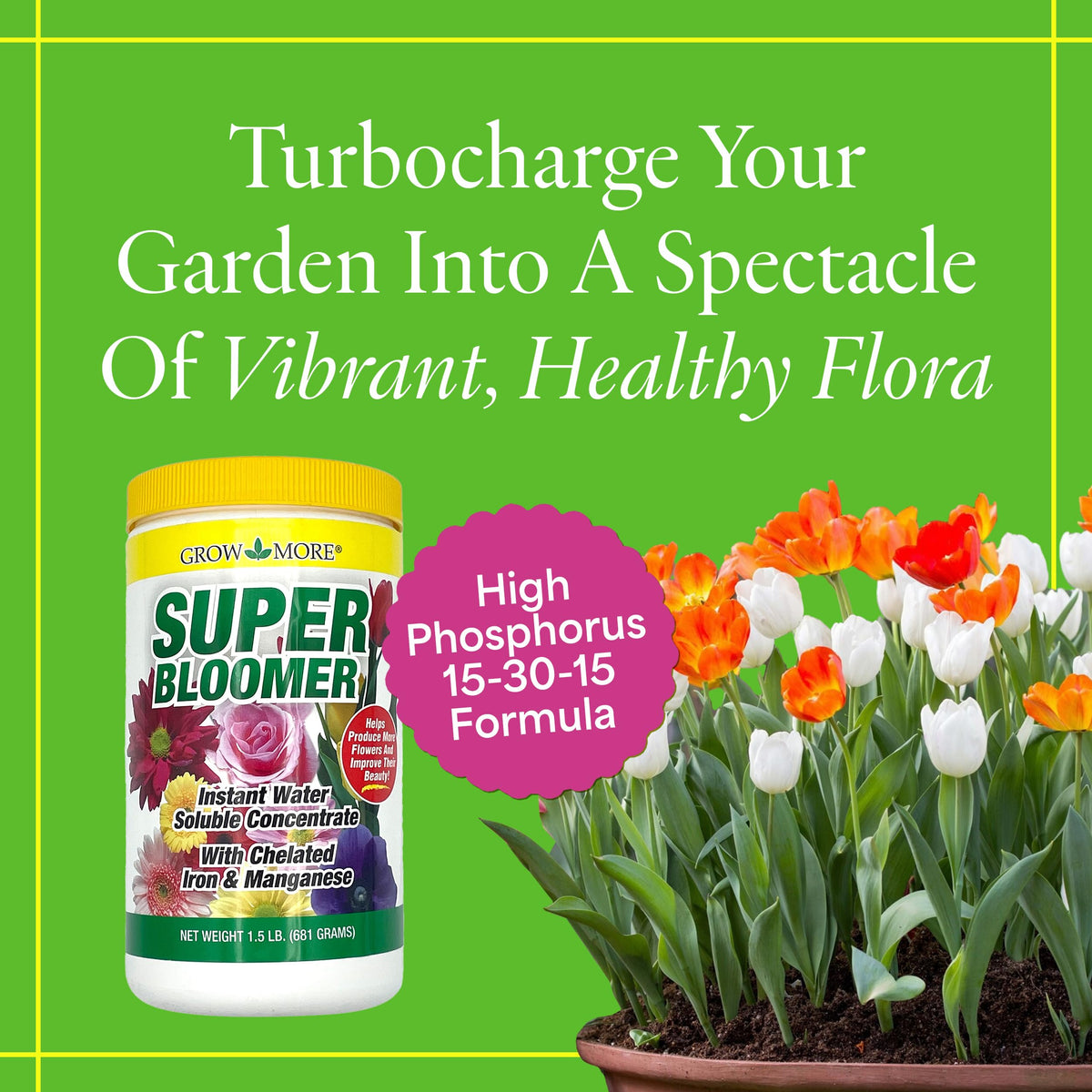 Grow More Super Bloomer dilution and mixing shows easy preparation for consistent feeding.