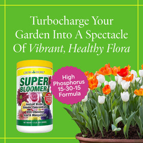 Grow More Super Bloomer dilution and mixing shows easy preparation for consistent feeding.