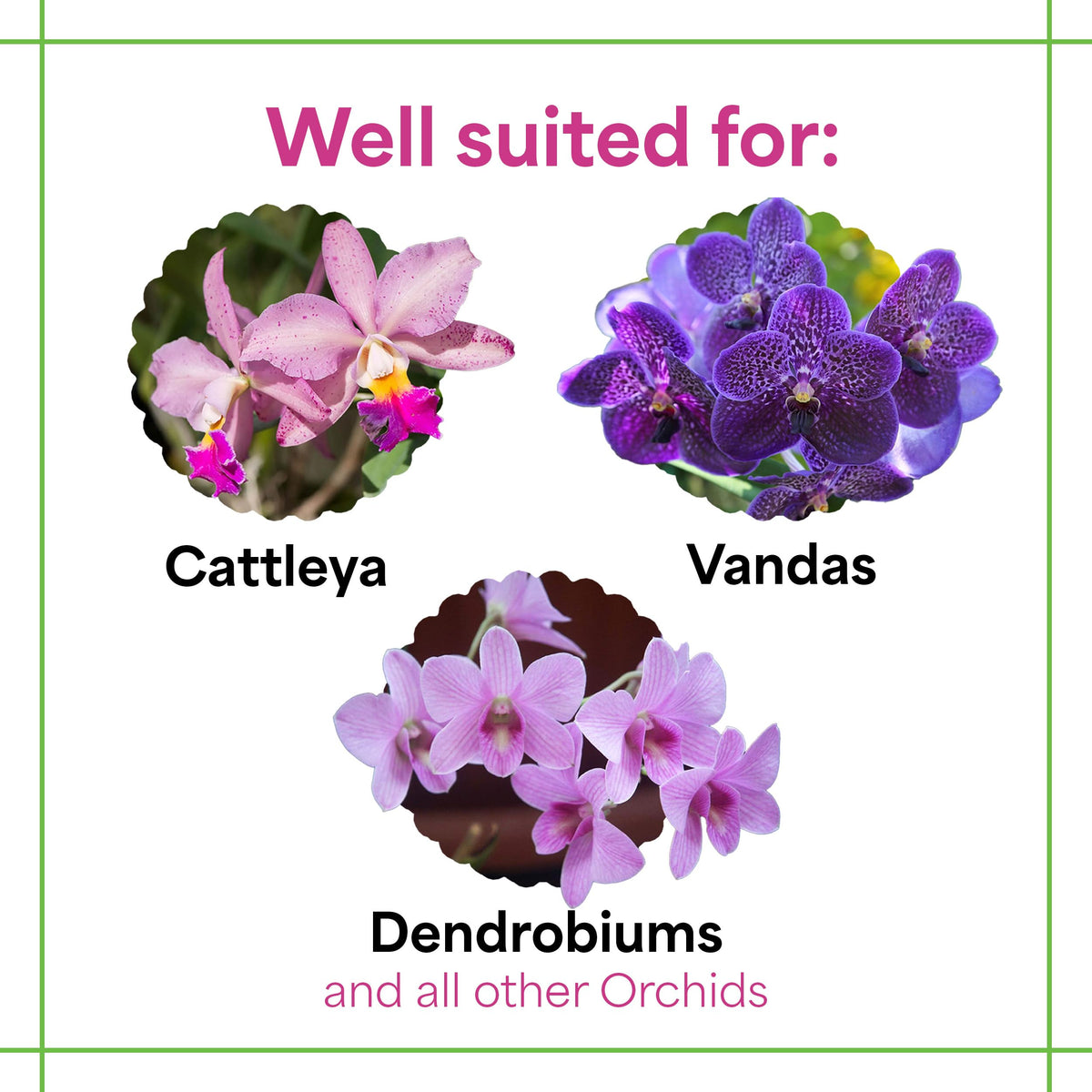 Water-soluble orchid food dissolves in water for easy feeding