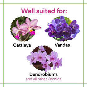 Water-soluble orchid food dissolves in water for easy feeding