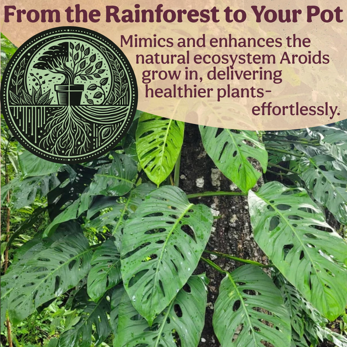 Grow Queen 1QT Aroid Mix nourishes roots with beneficial microbes