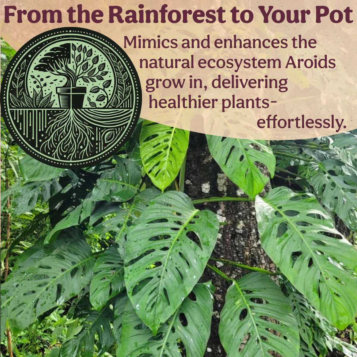 Grow Queen certified organic coco coir; washed for low salinity.