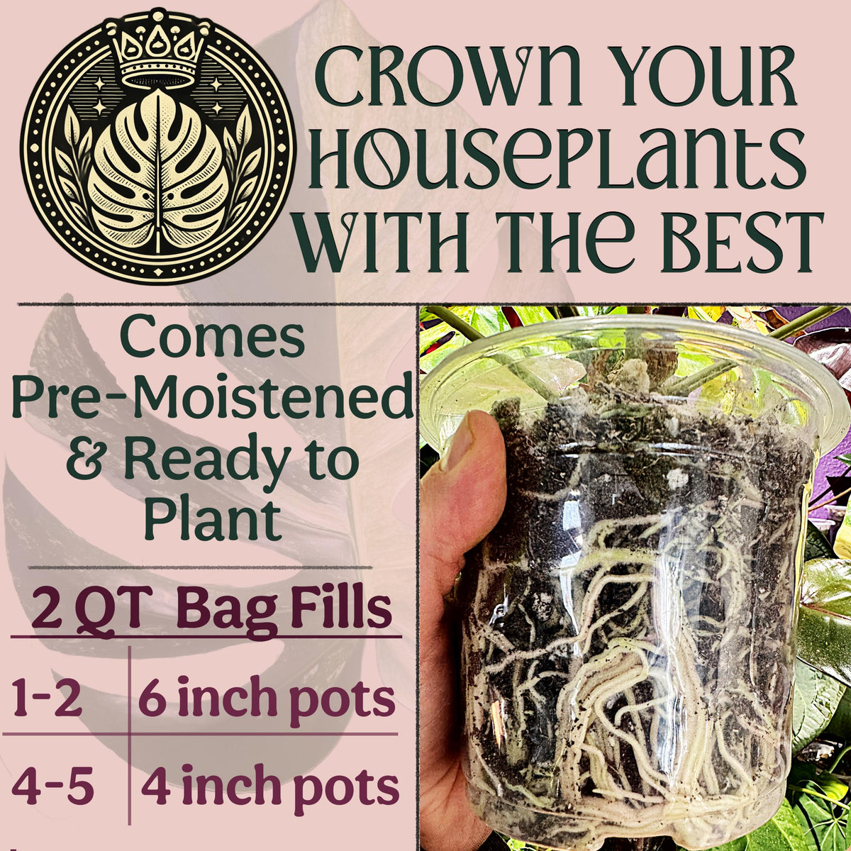 Grow Queen Charged Biochar technology visible in soil enhances nutrient retention