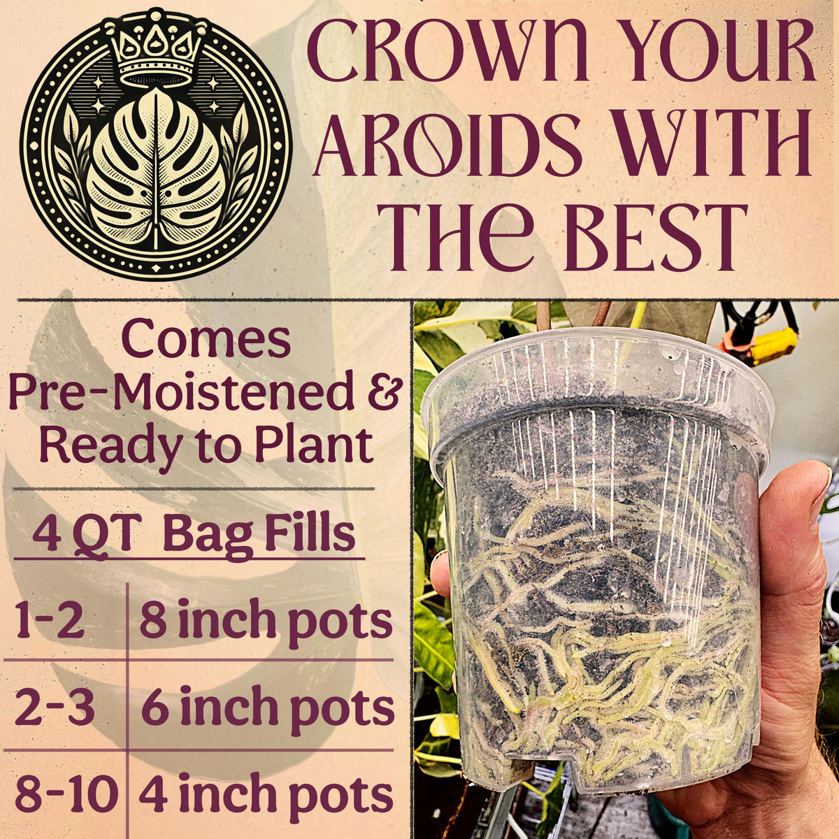 Grow Queen pet-friendly soil; safe for homes with curious pets.