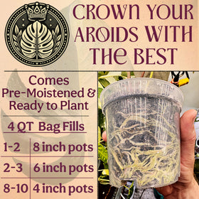 Grow Queen pet-friendly soil; safe for homes with curious pets.