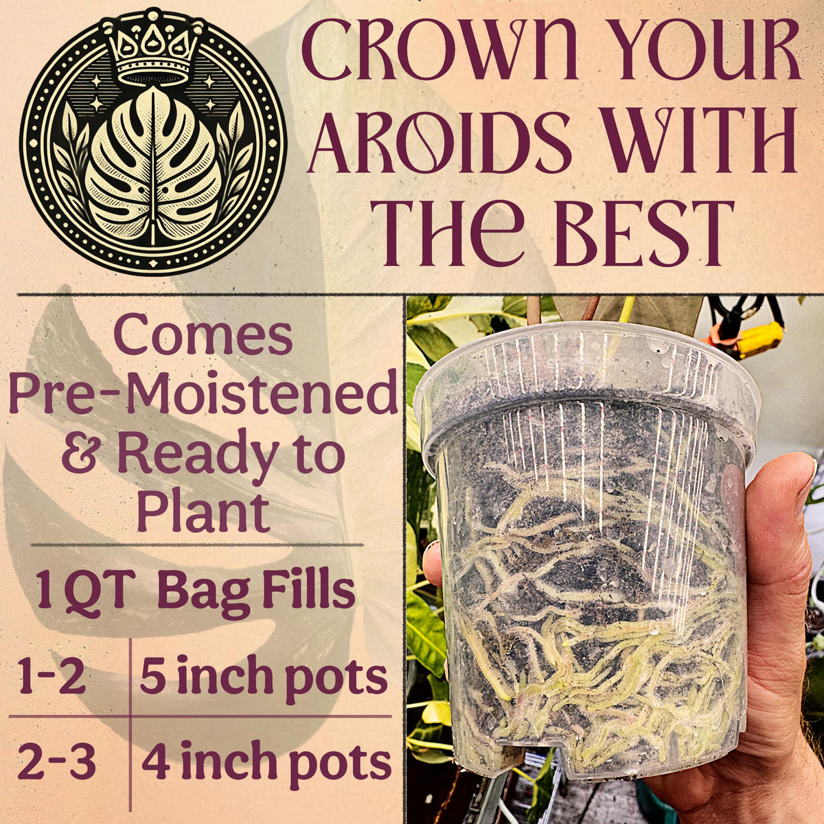 Grow Queen Tree Fern Fiber improves soil conditioning and pH balance