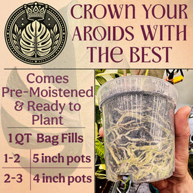 Grow Queen Tree Fern Fiber improves soil conditioning and pH balance