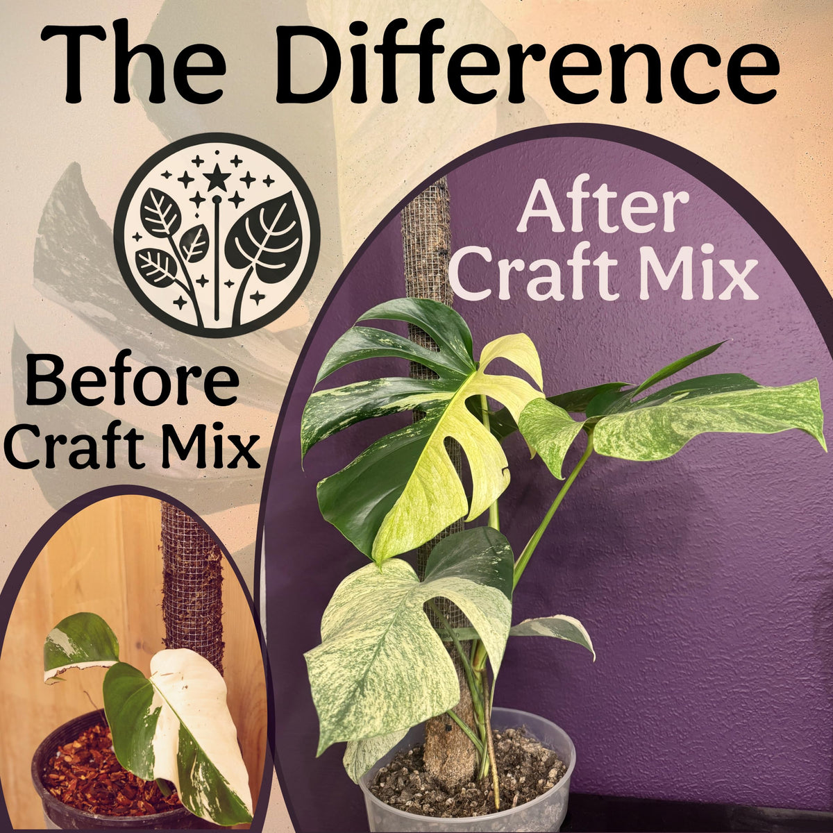 Grow Queen New Zealand Tree Fern Fiber; soil conditioner improves texture.