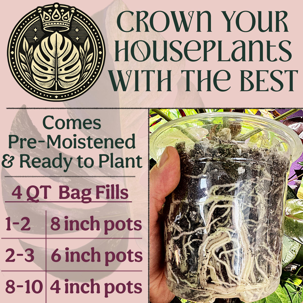 Grow Queen Tropical plants mixed soil balances moisture and airflow