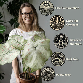 Grow Queen tropical soil texture closeup; airy mix designed for drainage.