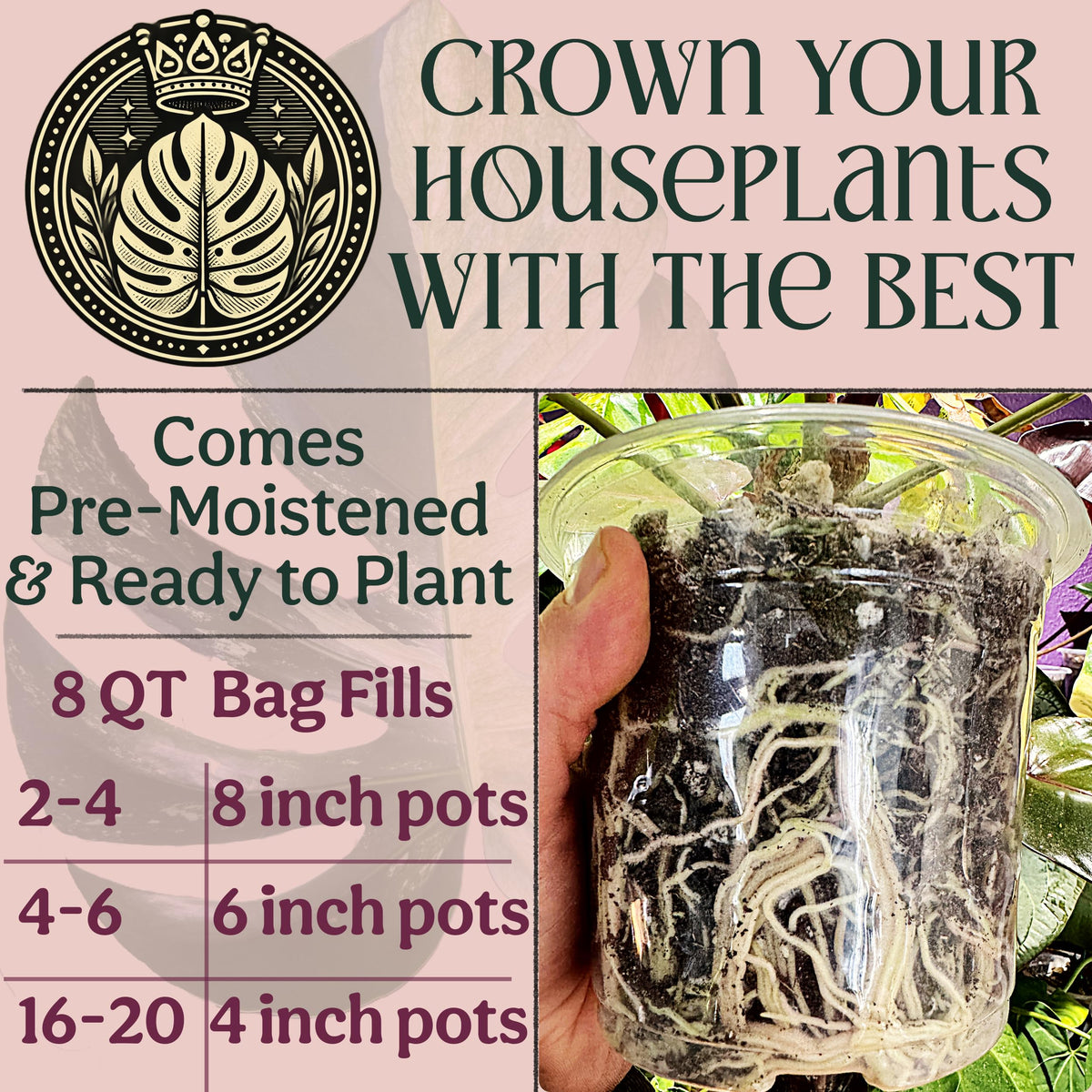 Grow Queen Worm castings enrich soil for lush indoor foliage.