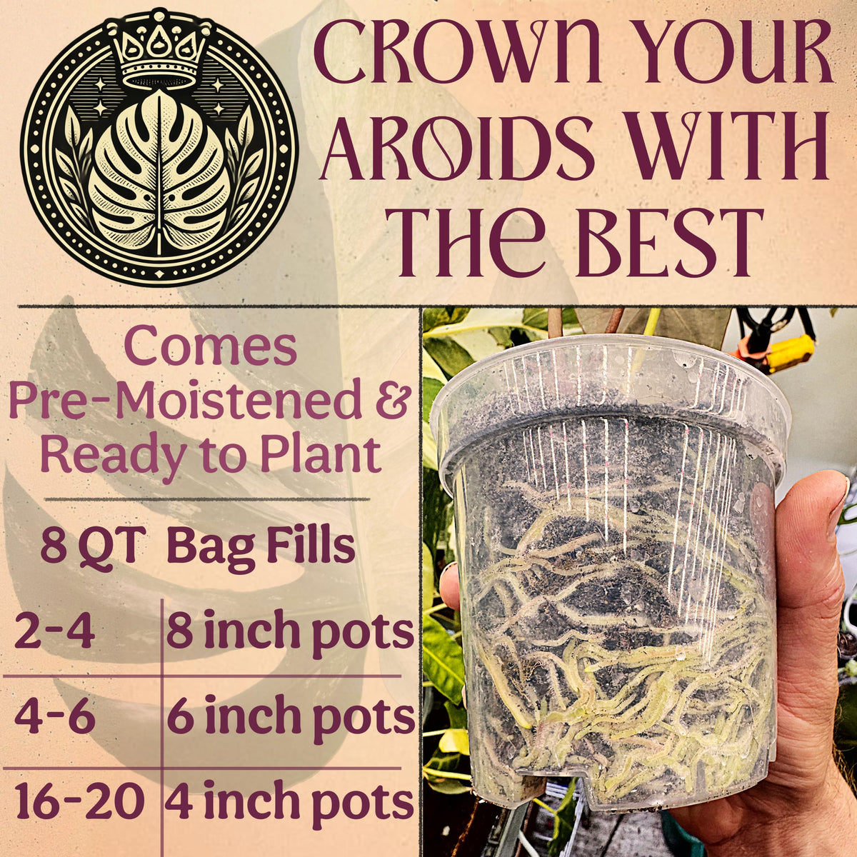 Grow Queen Worm castings and nutrients visible in enriched mix