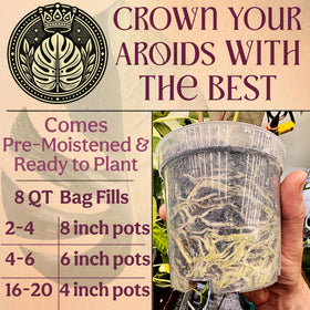Grow Queen Worm castings and nutrients visible in enriched mix