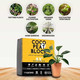 Growbycoco low-EC coir supports healthy seedlings with minimal salt content.