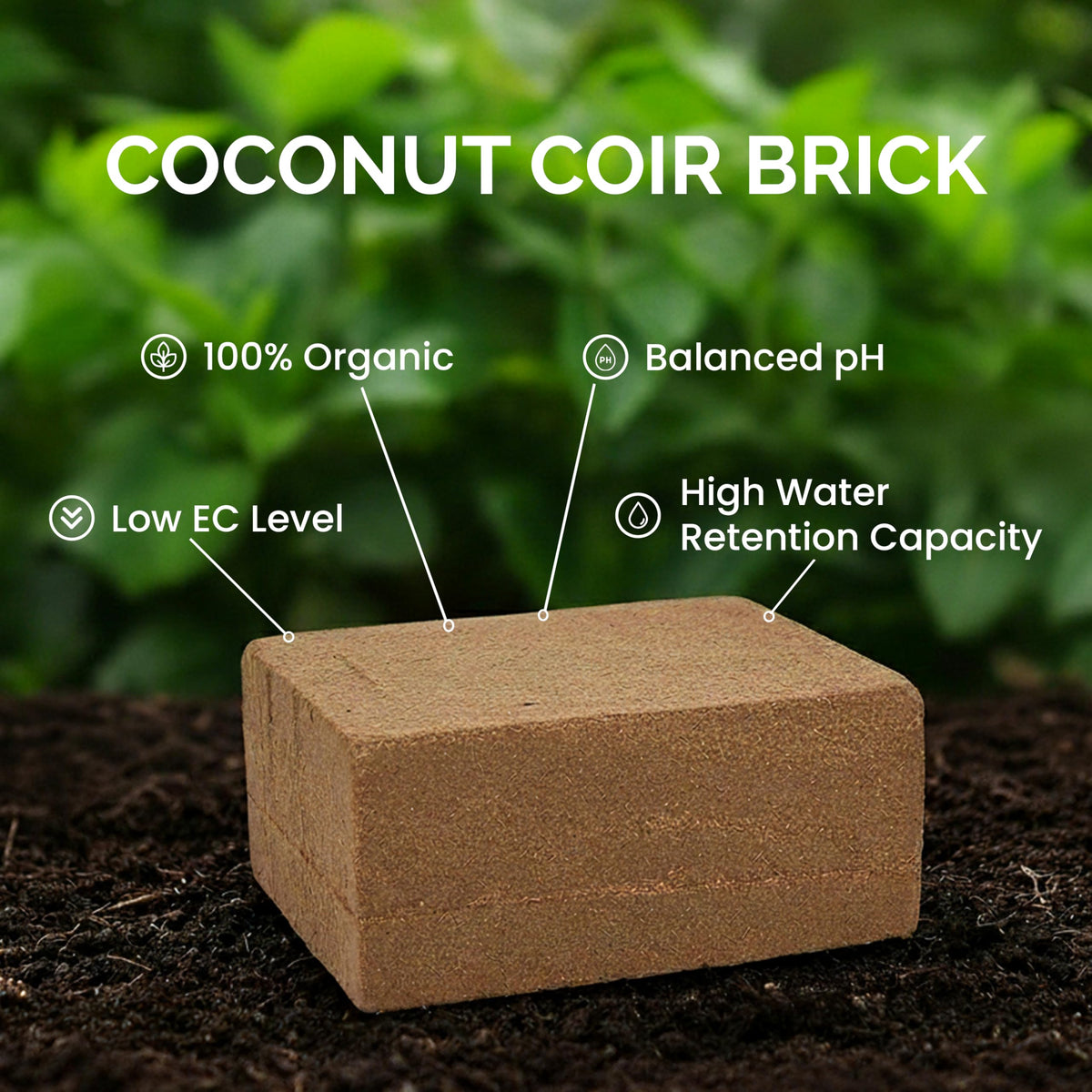 Growbycoco pH-neutral coir suits a wide range of indoor and outdoor plants.