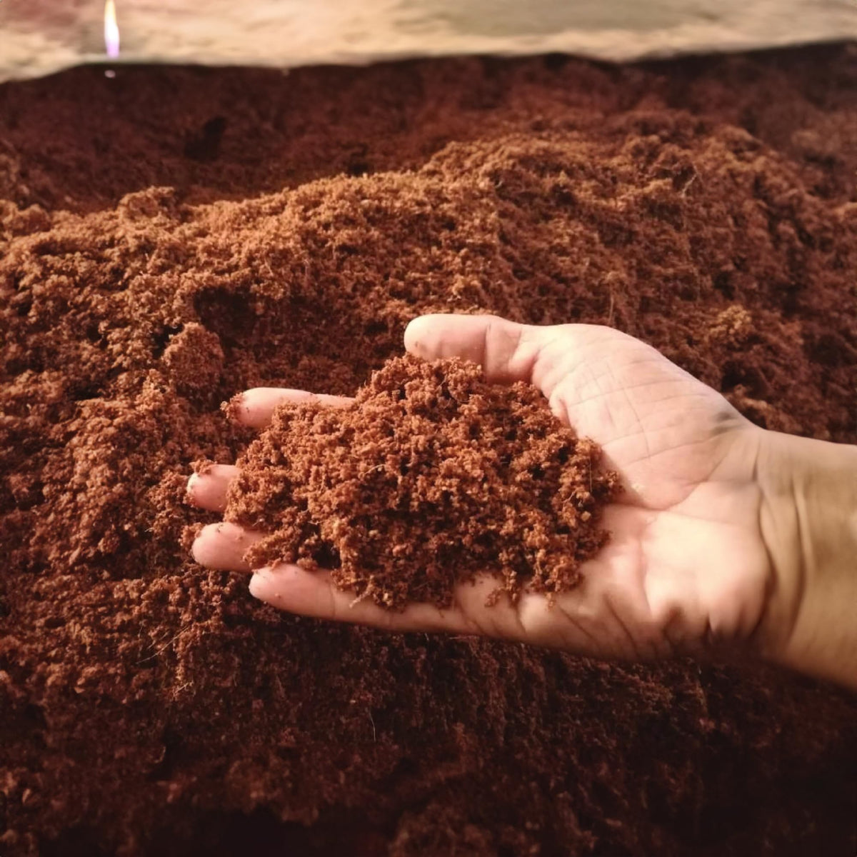 Growbycoco sustainable coir option reduces peat use for eco-friendly gardening.