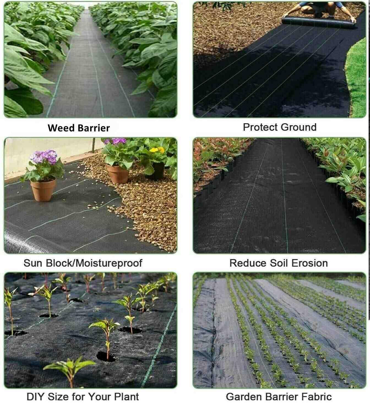 Groweco landscape fabric supports soil moisture while minimizing watering needs.