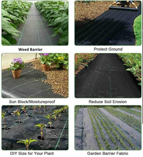 Groweco landscape fabric supports soil moisture while minimizing watering needs.