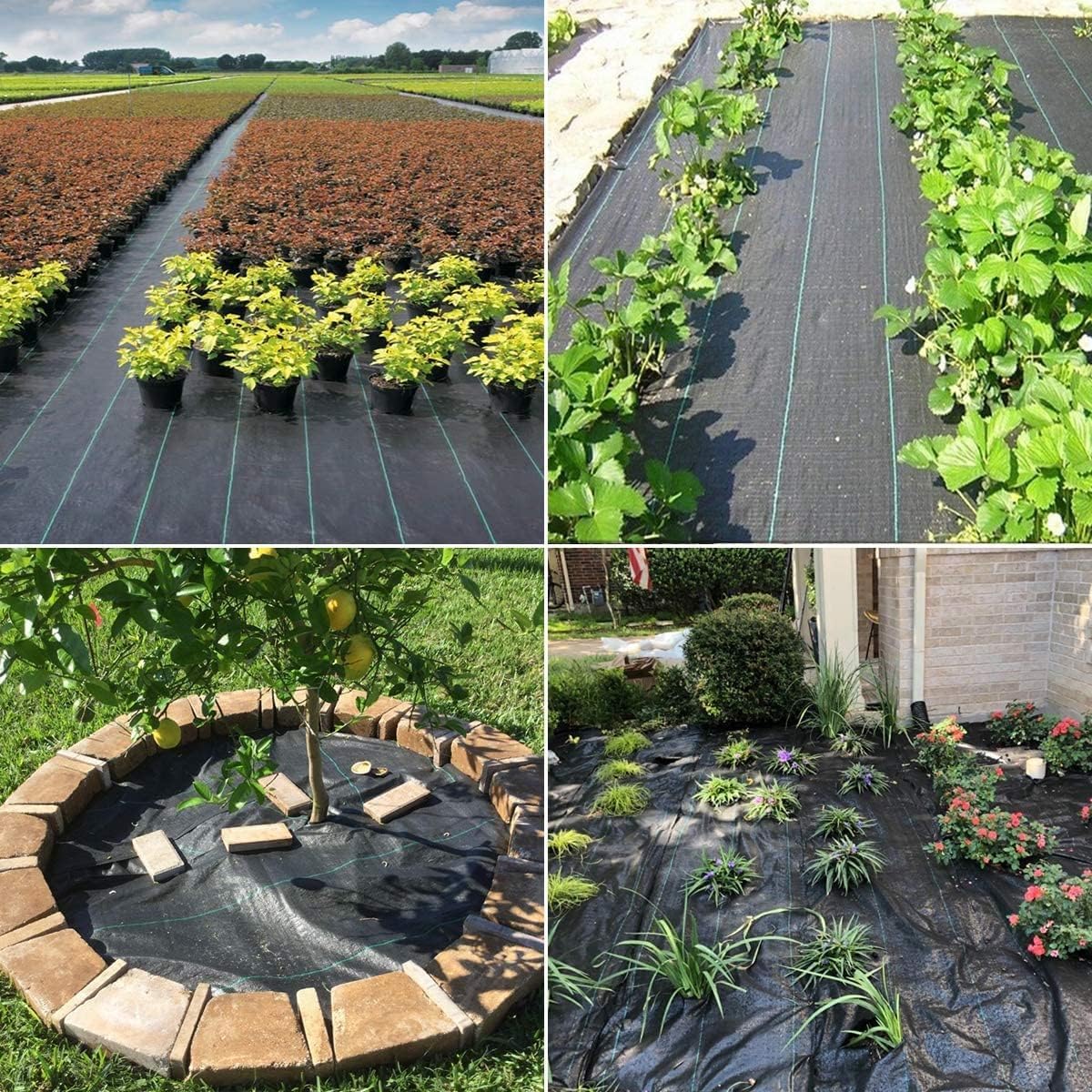 Groweco heavy-duty weed mat emphasizes durability for paths and beds.