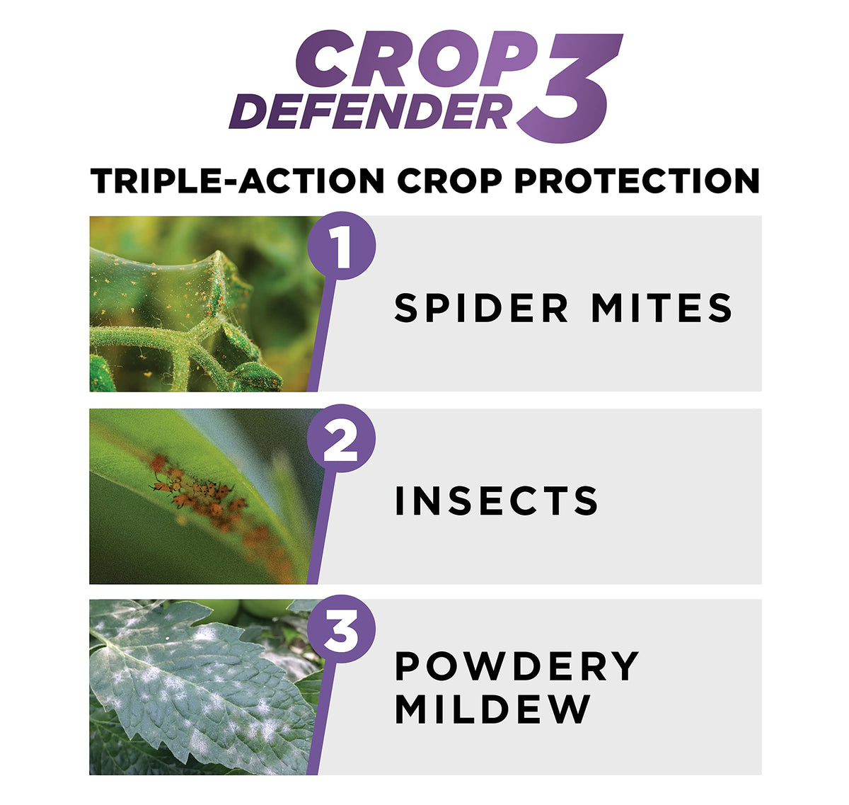 Application of Growers Ally Crop Defender 3 spray on leaves for pest control