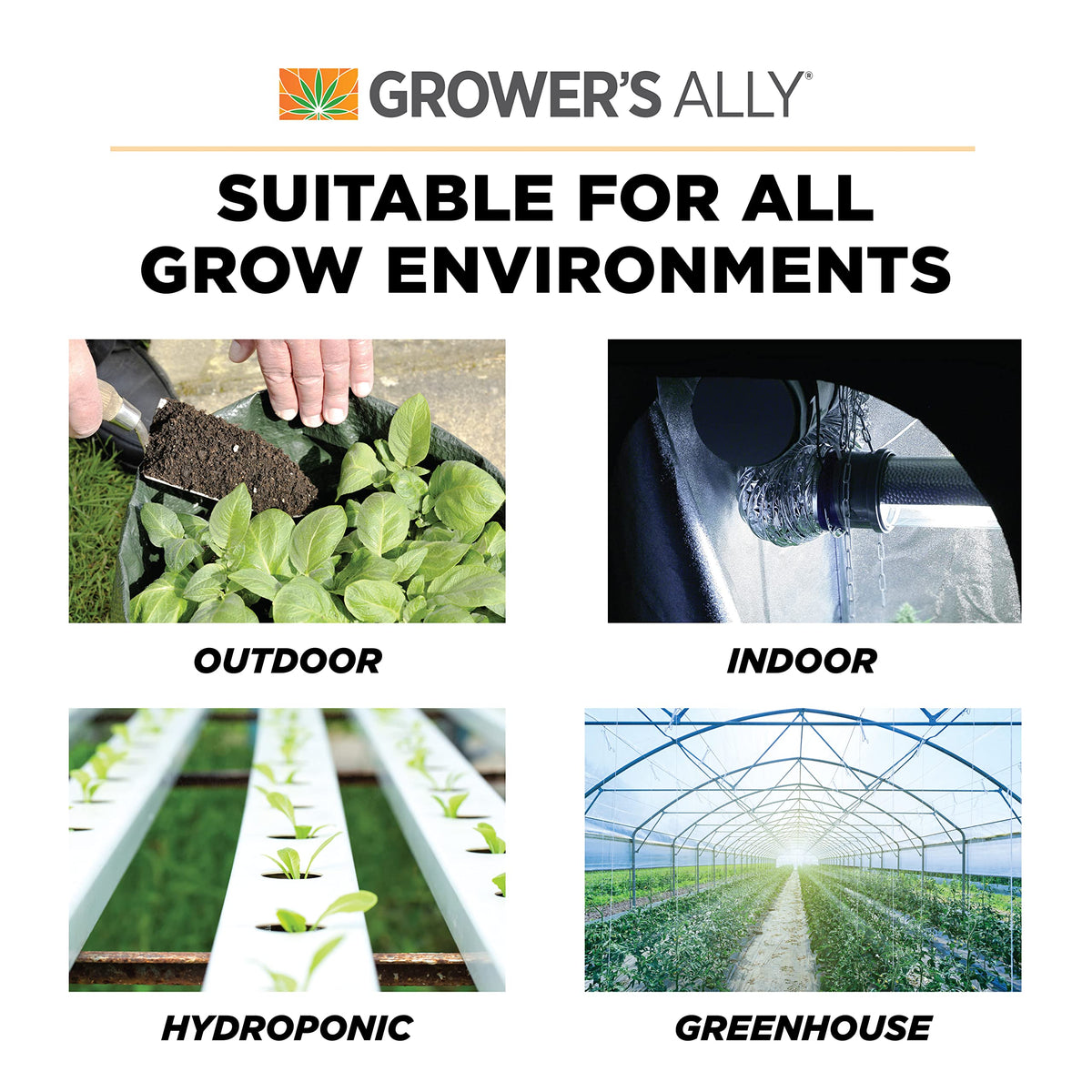 Grower's Ally Fungicide Spray leaves no residue on treated leaves.