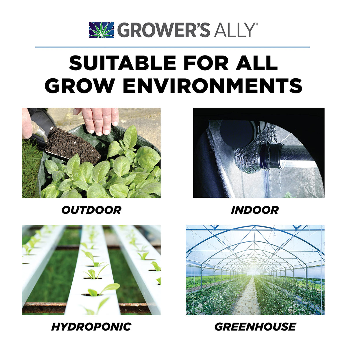 Indoor garden scene highlights safe formula for bees, kids, and pets.