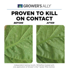 Leaves close-up shows quick contact action against mites with Grower's Ally.