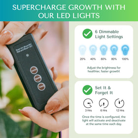 Growfriend soil moisture meter helps manage watering for healthy seedlings.
