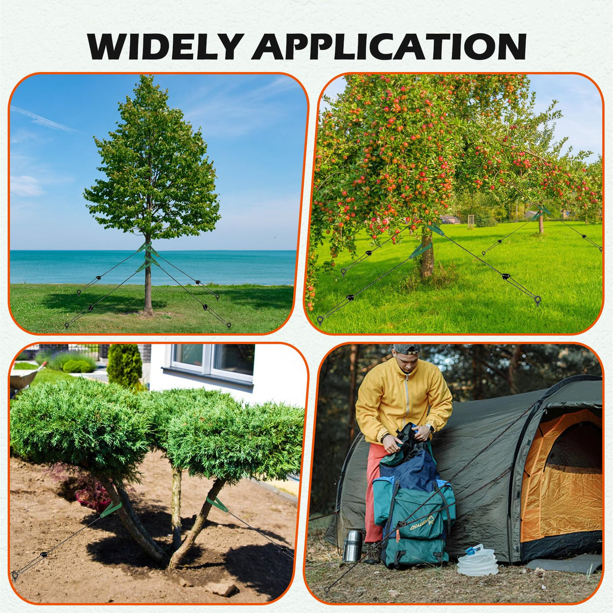 GrowGlow tree staking kit setup ready for garden use