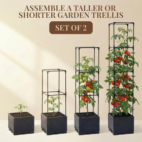 Growia adjustable trellis planter height adapts to plant growth