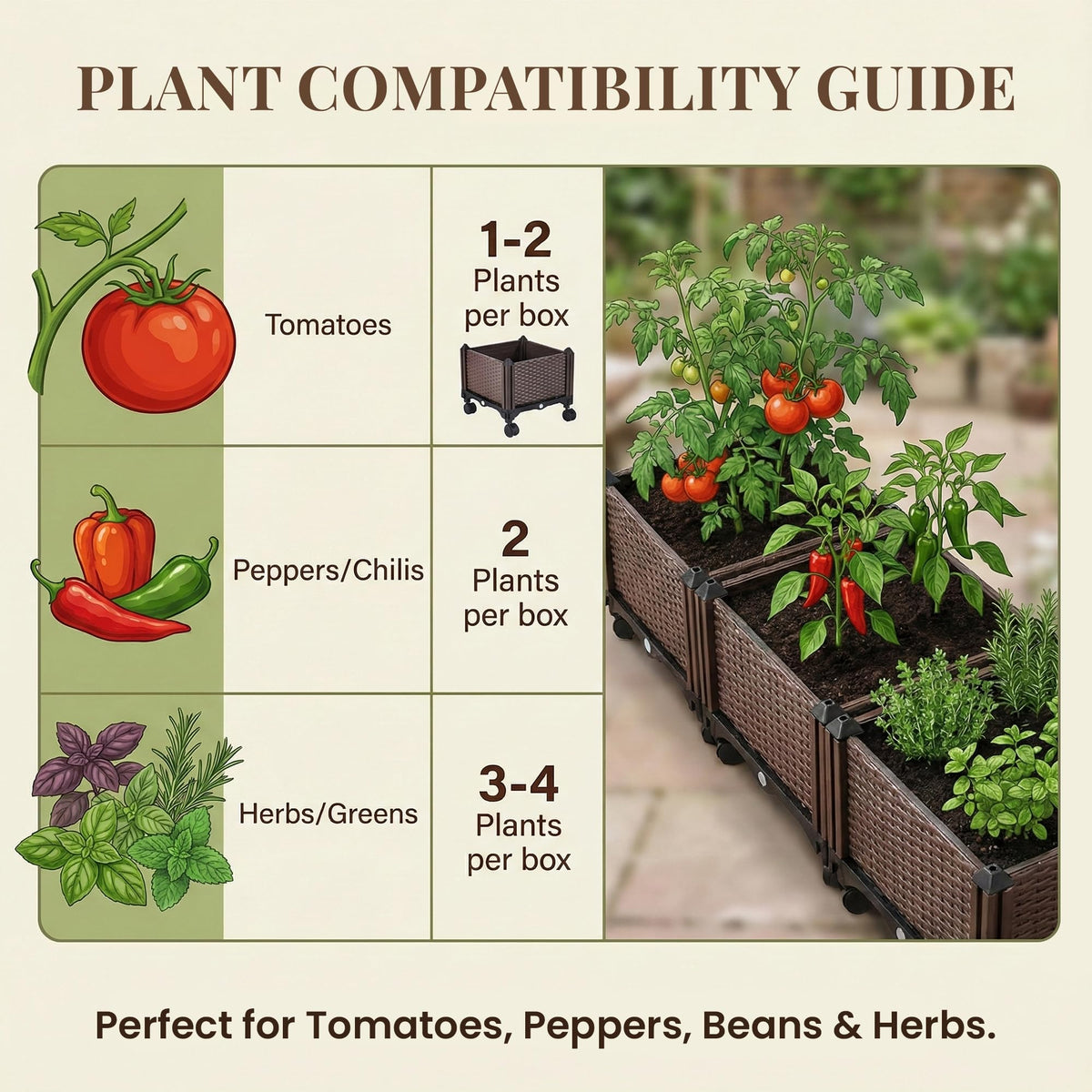 Growia compact planter box fits herbs, peppers, and small vegetables neatly