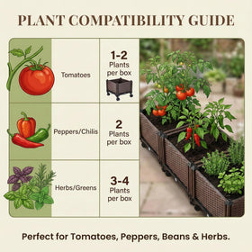 Growia compact planter box fits herbs, peppers, and small vegetables neatly