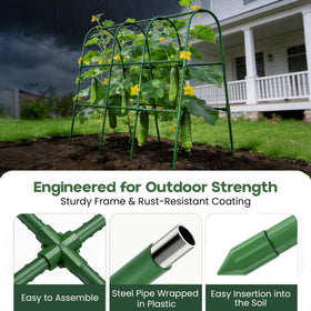 Growia cucumber bean tomato trellis shown for raised bed setup